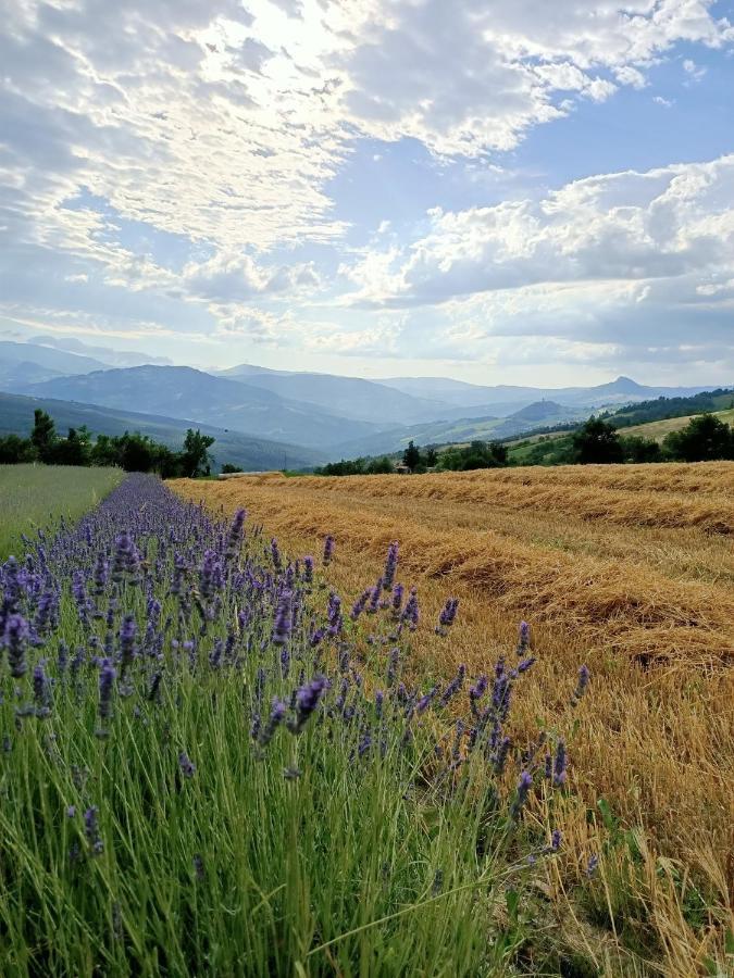 Agriturismo La Casetta - Ospitalita Rurale Familiare Montese Exteriör bild